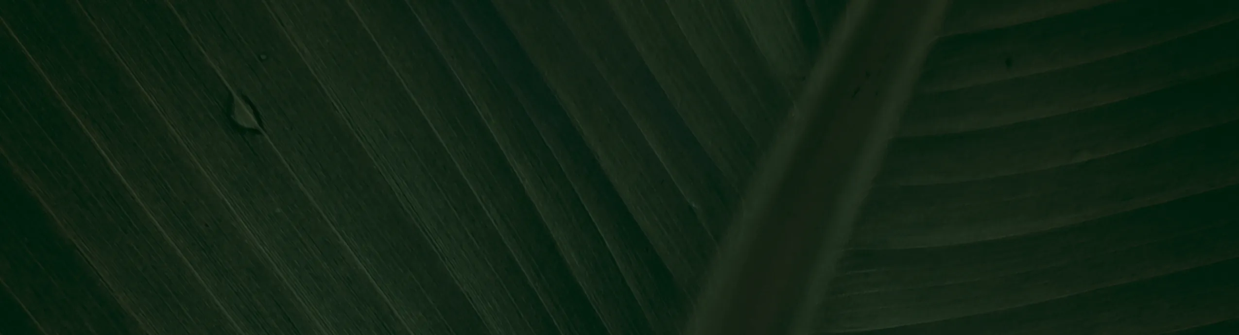 De Rechterhand - Macht achter de troon van de topfunctionaris